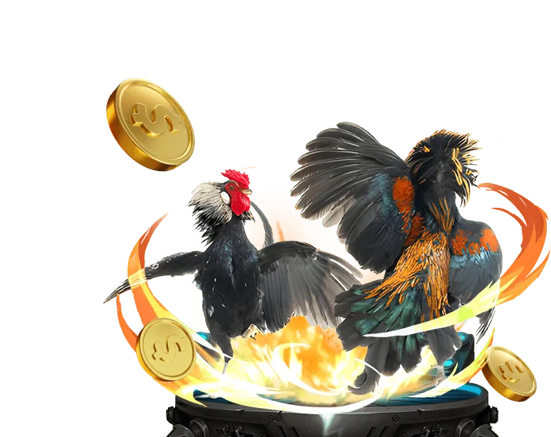 Hình ảnh minh họa các tài nguyên kiến thức về cá cược